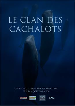 Projection - Le Clan des Cachalots - Stéphane GRANZOTTO_Saint-Gervais-les-Bains