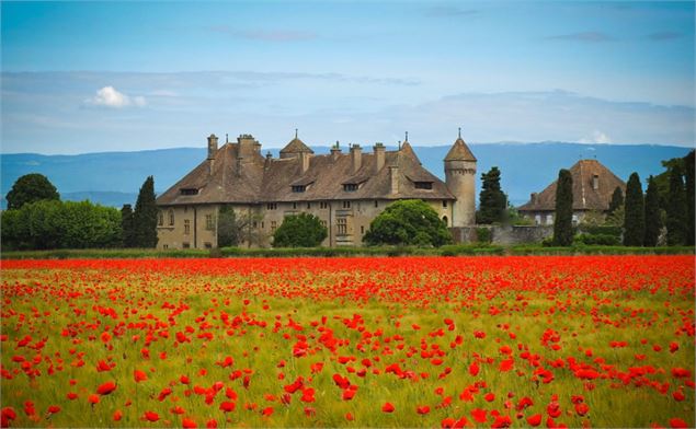 Fleurir Ripaille_Thonon-les-Bains - Fleurir Ripaille_Thonon-les-Bains