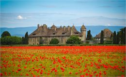 Fleurir Ripaille_Thonon-les-Bains - Fleurir Ripaille_Thonon-les-Bains