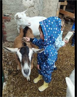 Calins - Émilie RAQUET 