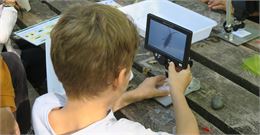 Un enfant entrain d'obersver un insecte au microscope - La Turbine sciences
