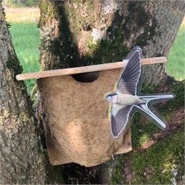 Fabrication d'un nid d'hirondelles - la Ferme de la forêt / GBA