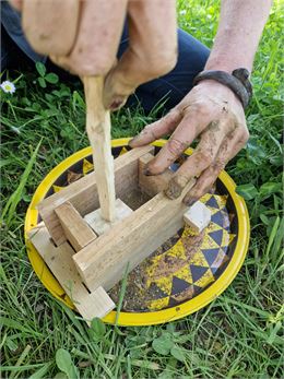 Les Fabriques du dimanche - la Ferme de la forêt / GBA