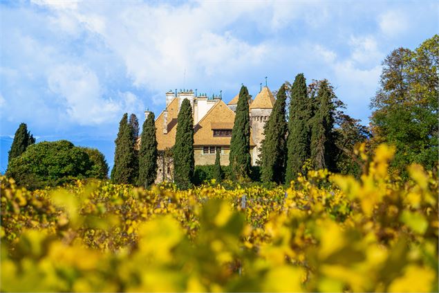 Une vue du château de Ripaille depuis le domaine viticole - Marion Todeschini