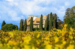 Une vue du château de Ripaille depuis le domaine viticole - Marion Todeschini