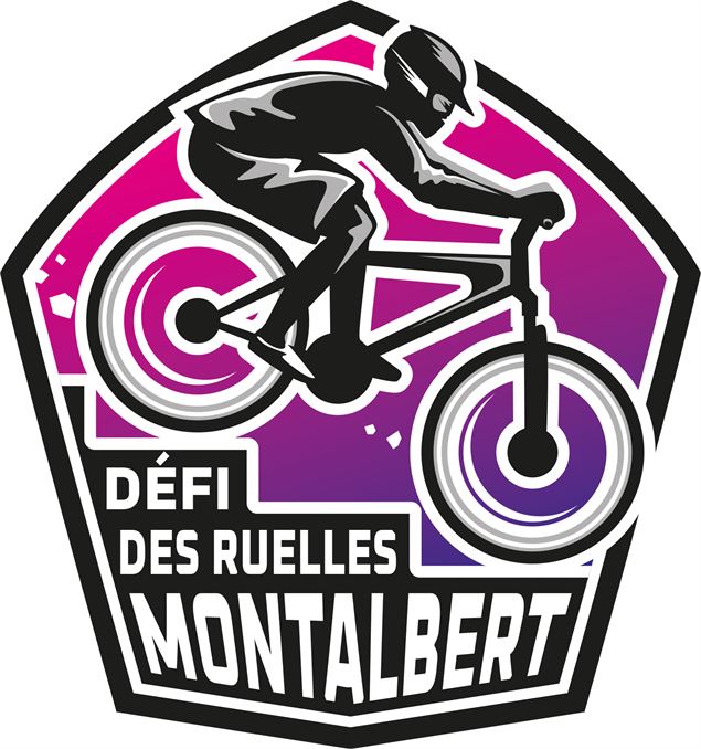 Logo - Club des sports Montalbert