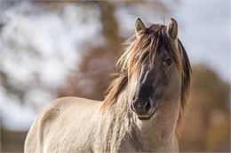 photo - Google