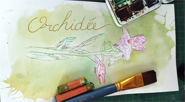 Orchidées à l'aquarelle et au pastel - Libellule (Valérie Grange)