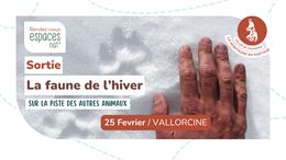Sortie nature - La faune de l'hiver_Vallorcine