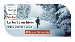Sortie nature - La forêt en hiver_Argentière