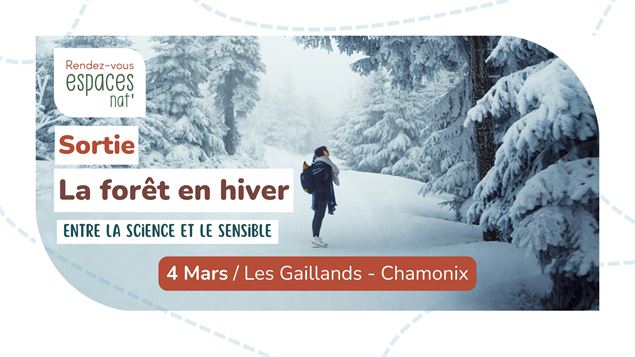 Sortie nature - La forêt en hiver_Argentière
