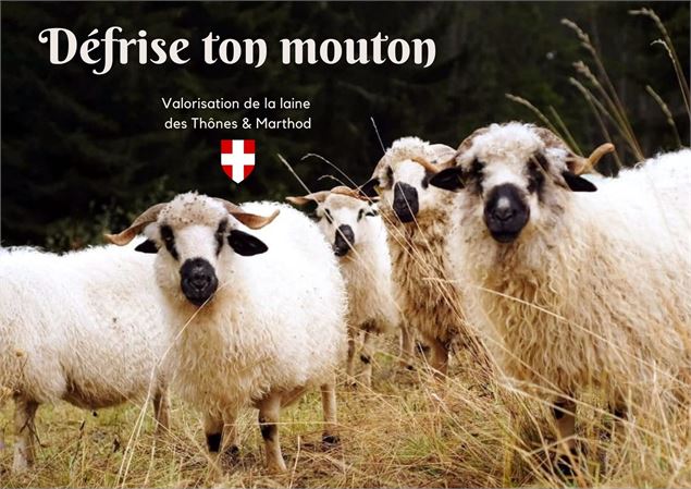 Journée thématique : Défrise ton mouton®_Sallanches - Défrise ton mouton®