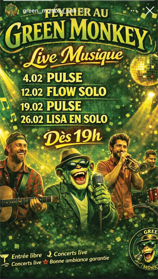 Concerts Live en février au Green Monkey Pub