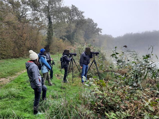 Découverte de la faune du Domaine de Vernange - FDC01