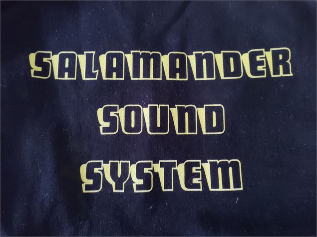 salamander sound system