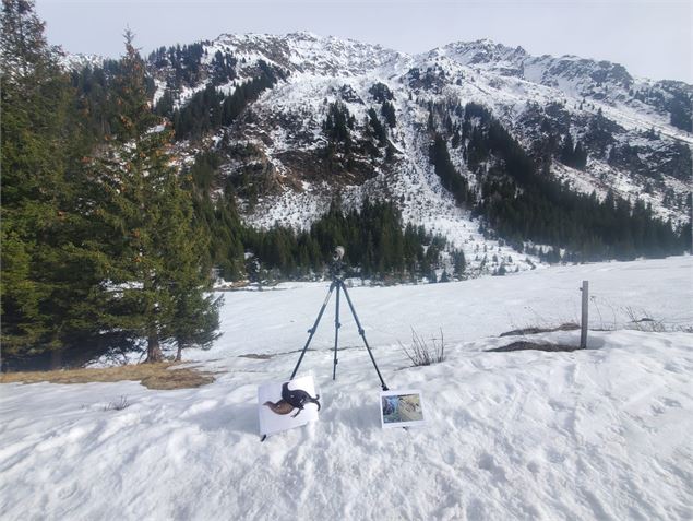 Maraudage en Réserve Naturelle : échanges 
