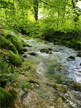 Balade découverte de la Dorche Sauvage