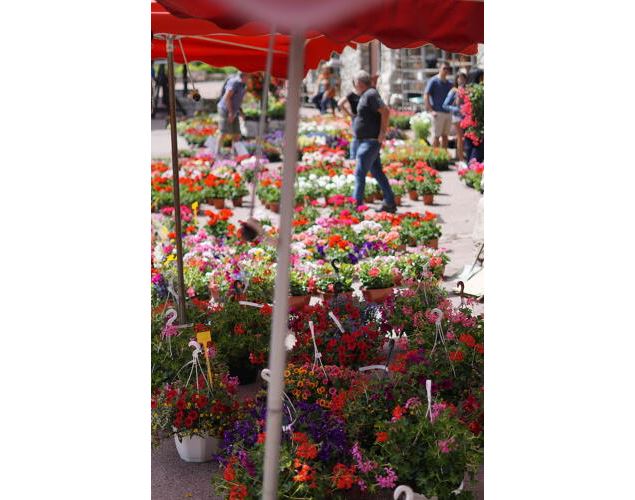 Marché aux fleurs_Val-d'Isère - Mairie de Val d’Isère - Claire Lozach