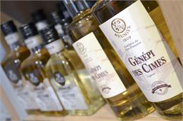 Dégustation de génépi au Comptoir Savoyard_Peisey-Vallandry