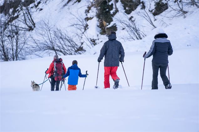 Randonnée en raquettes : La forêt de Plan Bois_Peisey-Vallandry