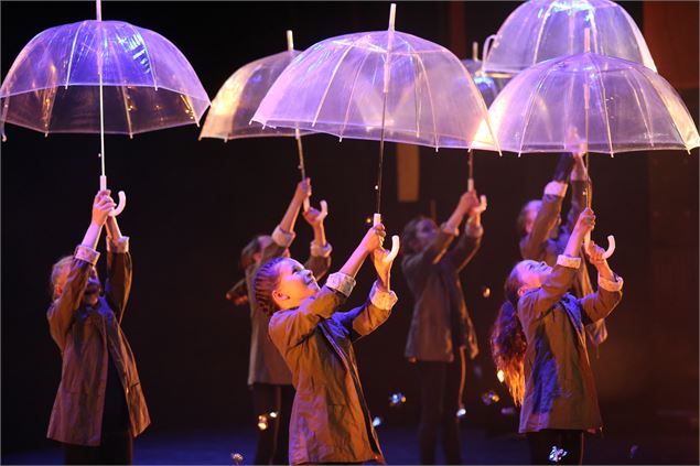 L'étrange usine à merveilles_Annecy - DR