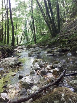 rivière sauvage près de Bénonces - Sabrina Megani / Plaine de l'Ain Tourisme