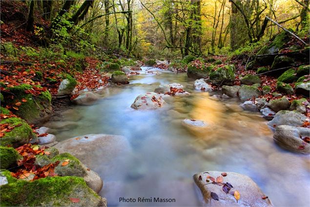 A la découverte de la Brive - Rémi Masson