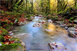A la découverte de la Brive - Rémi Masson
