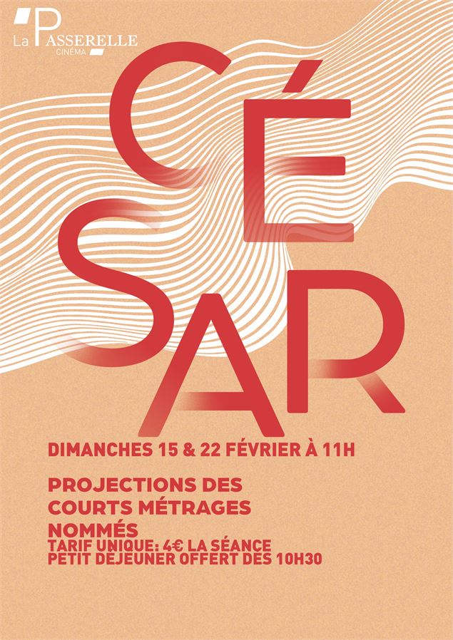 Courts métrages - César - Cinéma La Passerelle