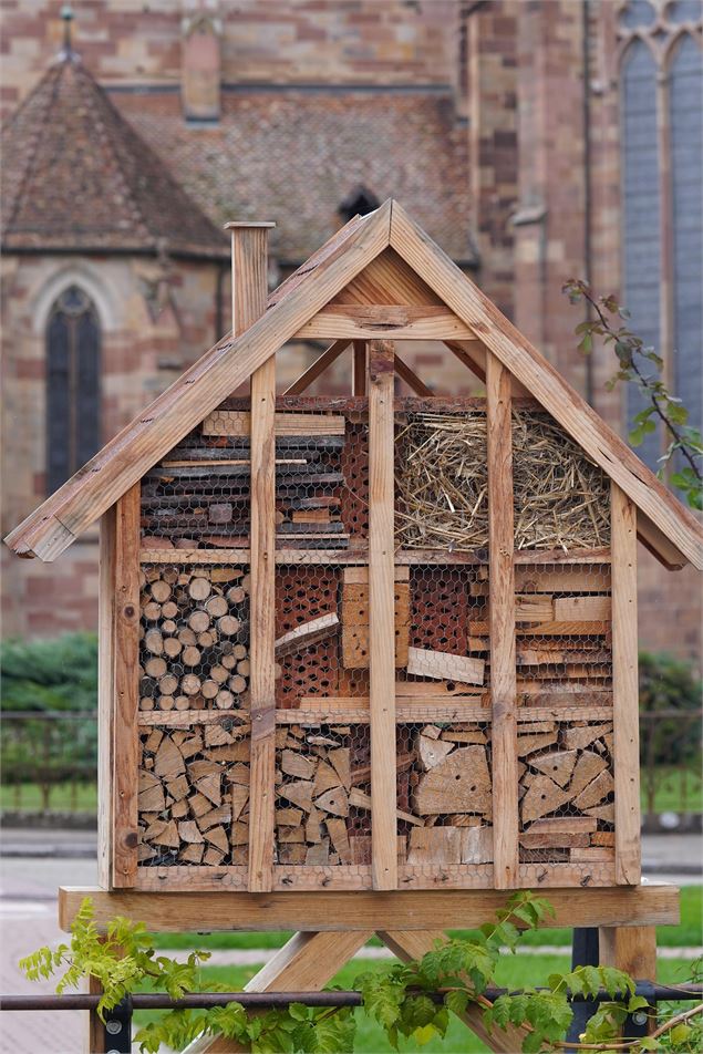 Réalisation d'hôtels à insectes_Montmerle-sur-Saône