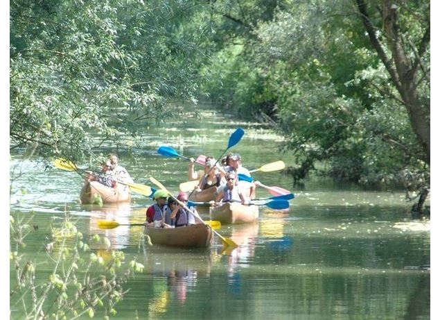 sortie kayak - Maison de l'Eau et de la Nature