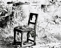 Electre des bas-fonds_Annecy - DR