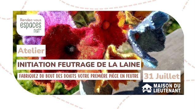 Atelier : Initiation feutrage de la laine