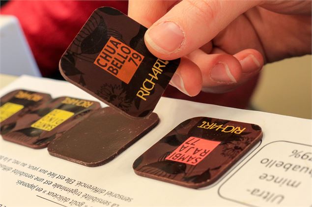 Visite de la Maison Richart_Saint-André-de-Corcy - Claire Curt