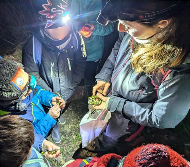 Photo de la sortie - @Thonon Agglomération