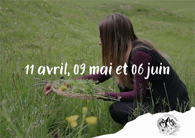 A la découverte des plantes sauvages_Torgon