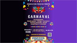 Carnaval_Ayse - Prestige poney