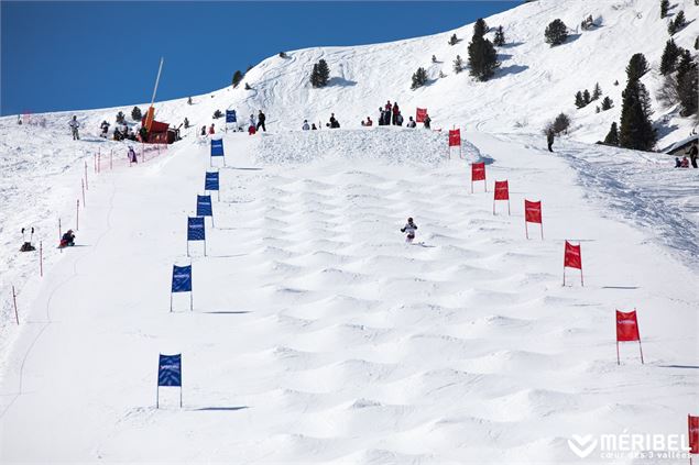Championnats de France de ski de bosses - Individuel
