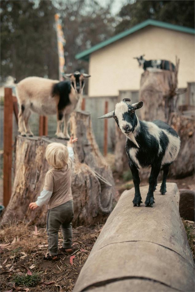 La Ferme itinérante