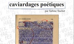 Exposition Caviardages Poétiques_Chambéry - BM Chambéry