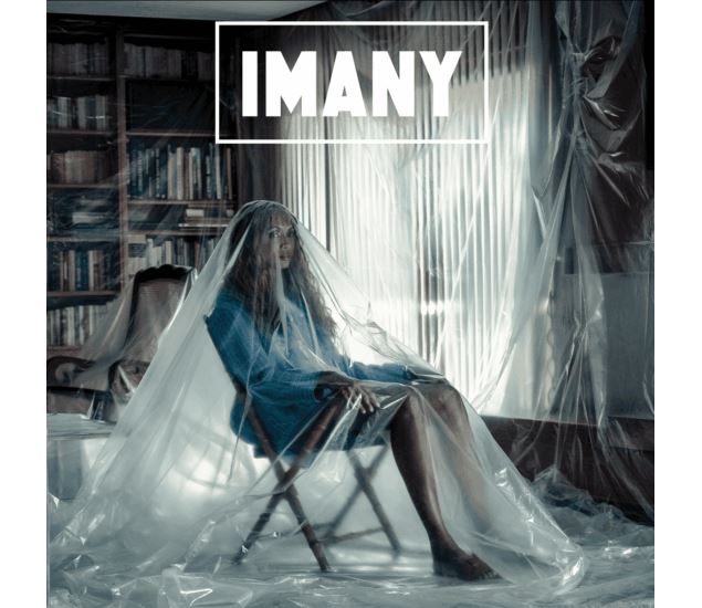 Concert d'Imany_Villars-les-Dombes - Parc des Oiseaux