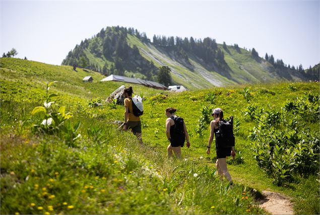 Projection d'un film autour du pastoralisme_Faverges-Seythenex - Remi Portier