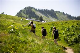 Projection d'un film autour du pastoralisme_Faverges-Seythenex - Remi Portier