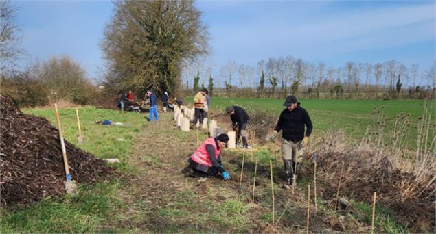 Plantation - Prenons racine