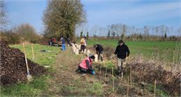 Plantation - Prenons racine