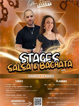 Stages de salsa et bachata_Belley - ACA Danse