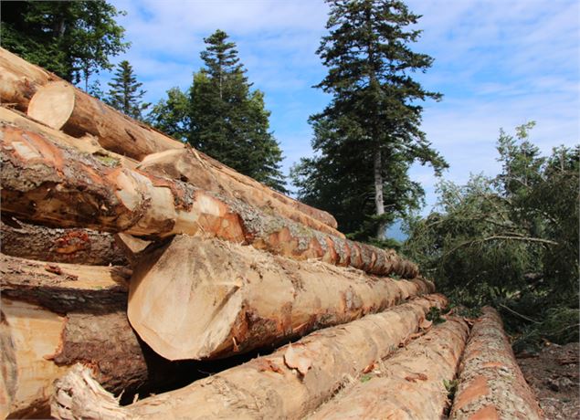 Vis ma vie de Bûcheron_Le Châtelard - @pnrmb