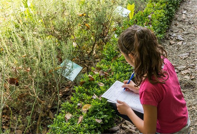 La visite ludique des 7-12 ans : La plante mystère_Chambéry - Musée des Beaux-Arts de Chambéry