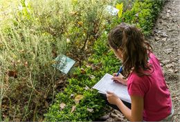 La visite ludique des 7-12 ans : La plante mystère_Chambéry - Musée des Beaux-Arts de Chambéry