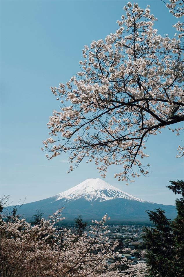 Conférence - Le Mont Fuji : une montagne aux mille visages, entre héritages religieux et représentat